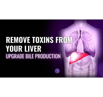 How To Remove Toxins From The Liver